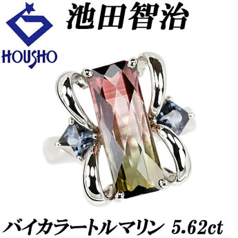 池田智治 バイカラートルマリン リング 5.62ct カラーチェンジガーネット Pt900 作家 デザイナー | 豪華 ゴージャス かわいい おしゃれ【中古】【SH121091】