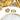 TASAKI Mabe Pearl Pendant Top K18 Yellow Gold TASAKI Single Pearl [Used] [900522]