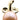 TASAKI Tasaki Pearl Freshwater Pearl Pendant Top K18 Yellow Gold TASAKI Single Pearl [Used] [900569]